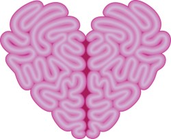 heartbrain2