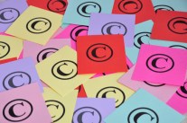 copyright multi pink 480x319