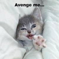 avenge%20me avenge%20me